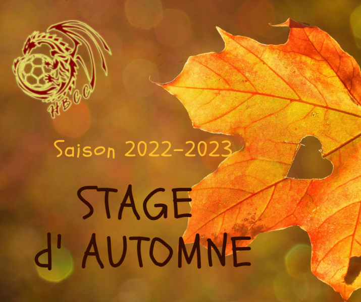 Stage d'automne catégories -13 / -15